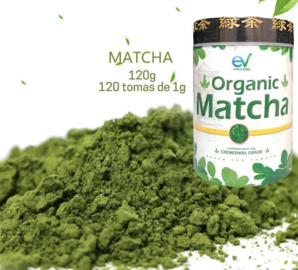 TE MATCHA ORGANICO - Imagen 4